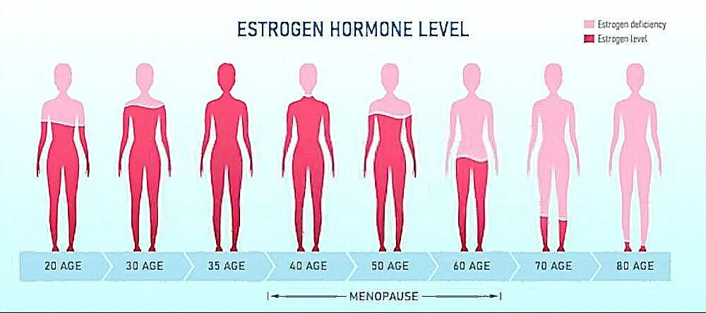 Estrogen wanita