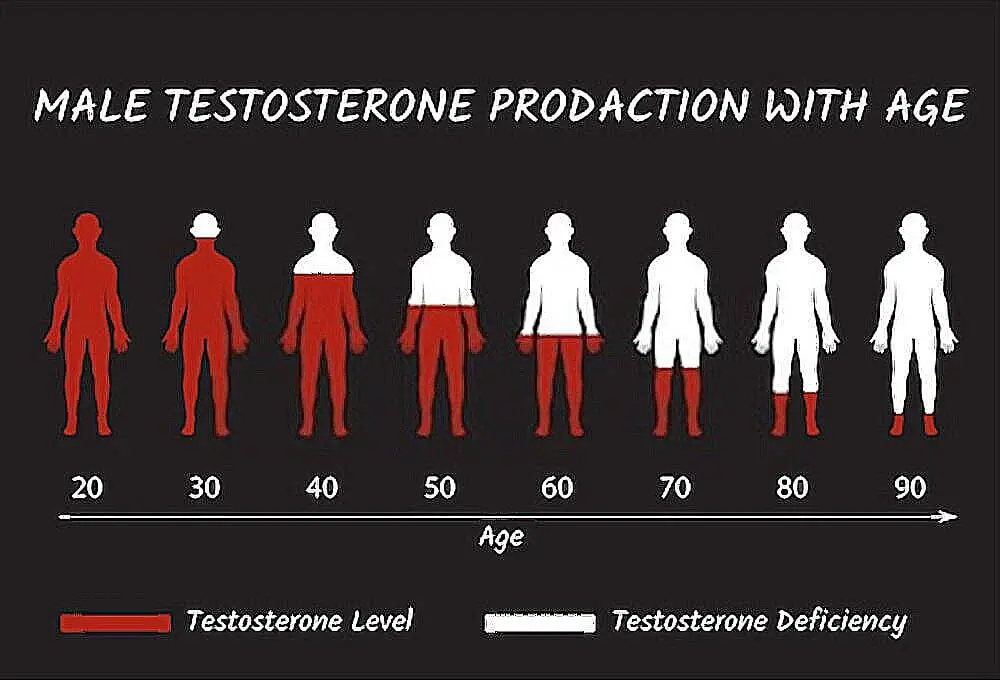 Testosteron lelaki
