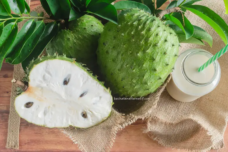 khasiat durian belanda