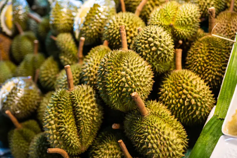 Khasiat Durian – Raja Buah Yang Bukan Sahaja Sedap Tapi Mempunyai Banyak Manfaat Kesihatan