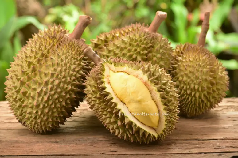 khasiat durian